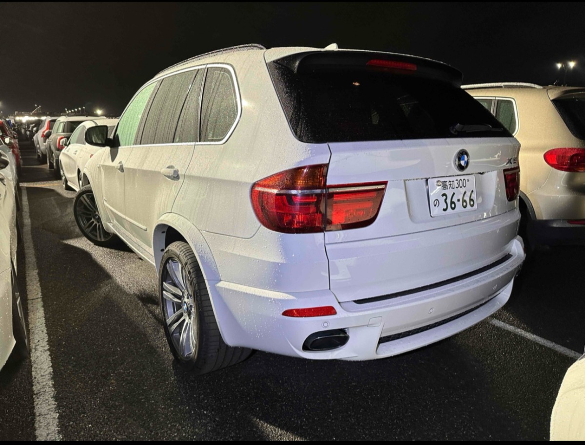 2011 BMW X5 image 3