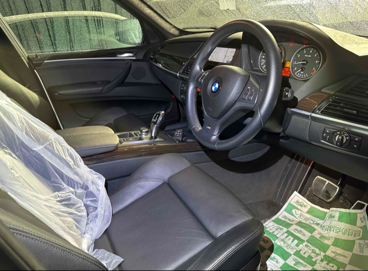 2011 BMW X5 image 7