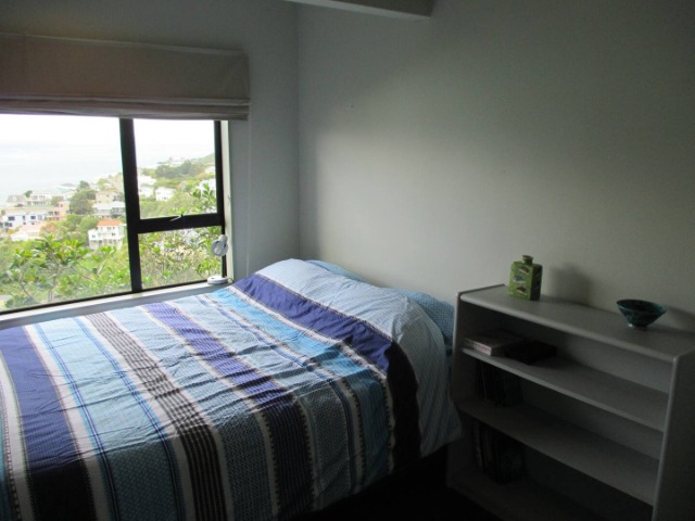 Looking for a flatmate in Wellington image 1
