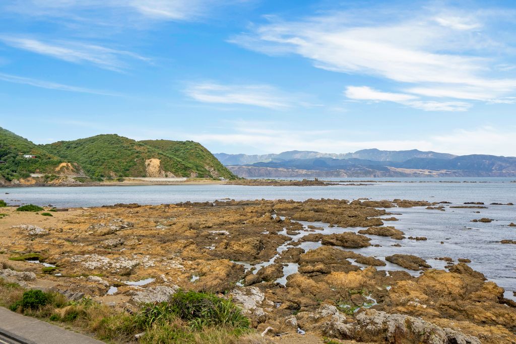 Where to Find Stunning Views in Wellington! image 12