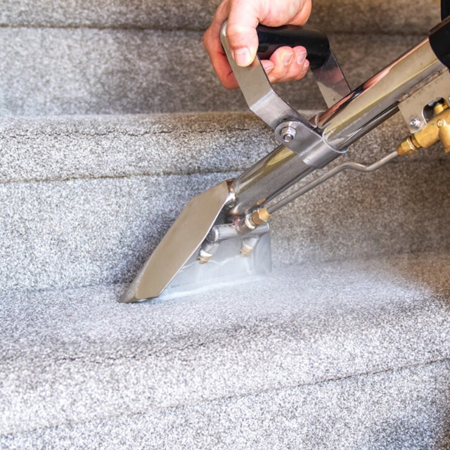 Carpet Cleaning Auckland image 1