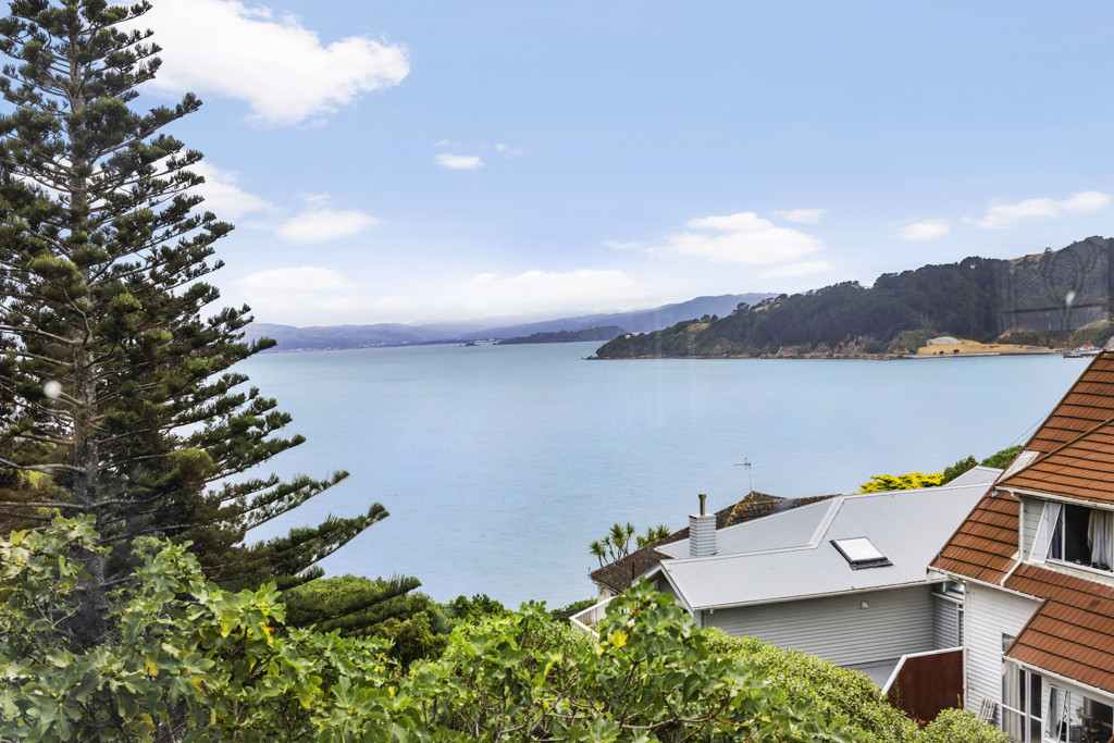 Real Estate For Sale Houses & Apartments : Hataitai Sea Views