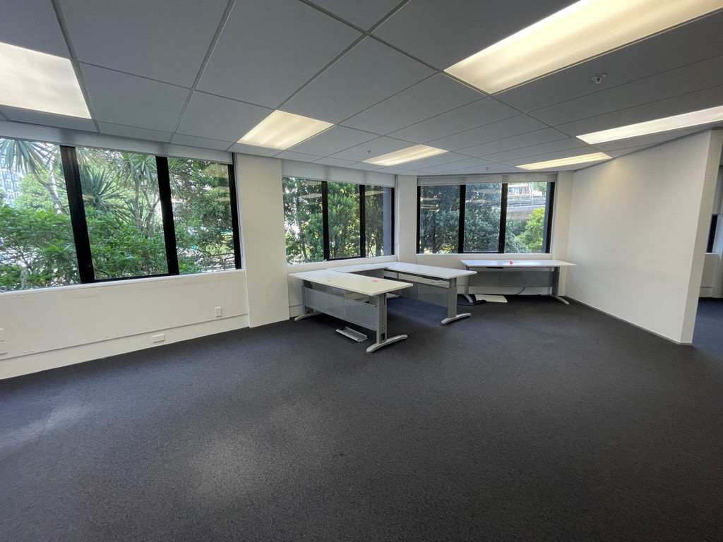 Exceptional Office Opportunity at 138 The Terrace! image 5