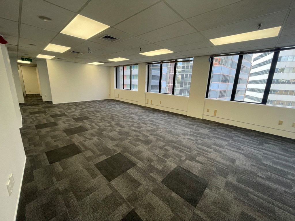 Exceptional Office Opportunity at 138 The Terrace! image 10