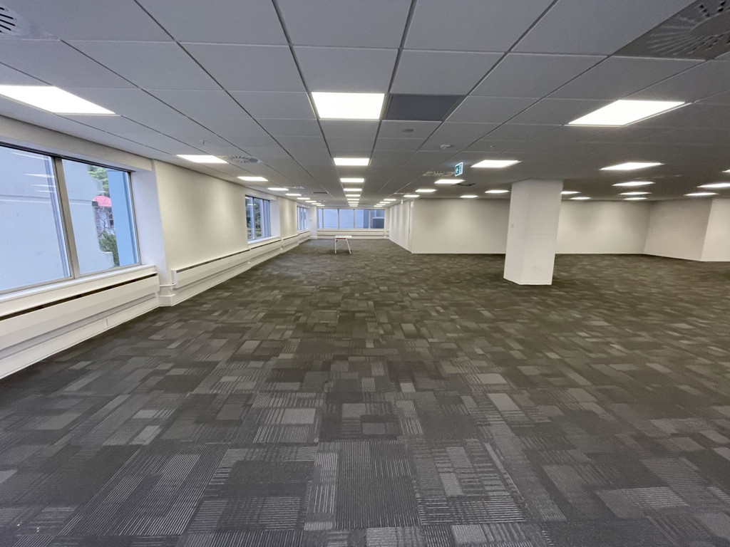 4 Contiguous Floors at 79 Boulcott Street! image 3