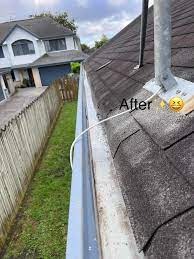 Gutter cleaning Auckland image 1