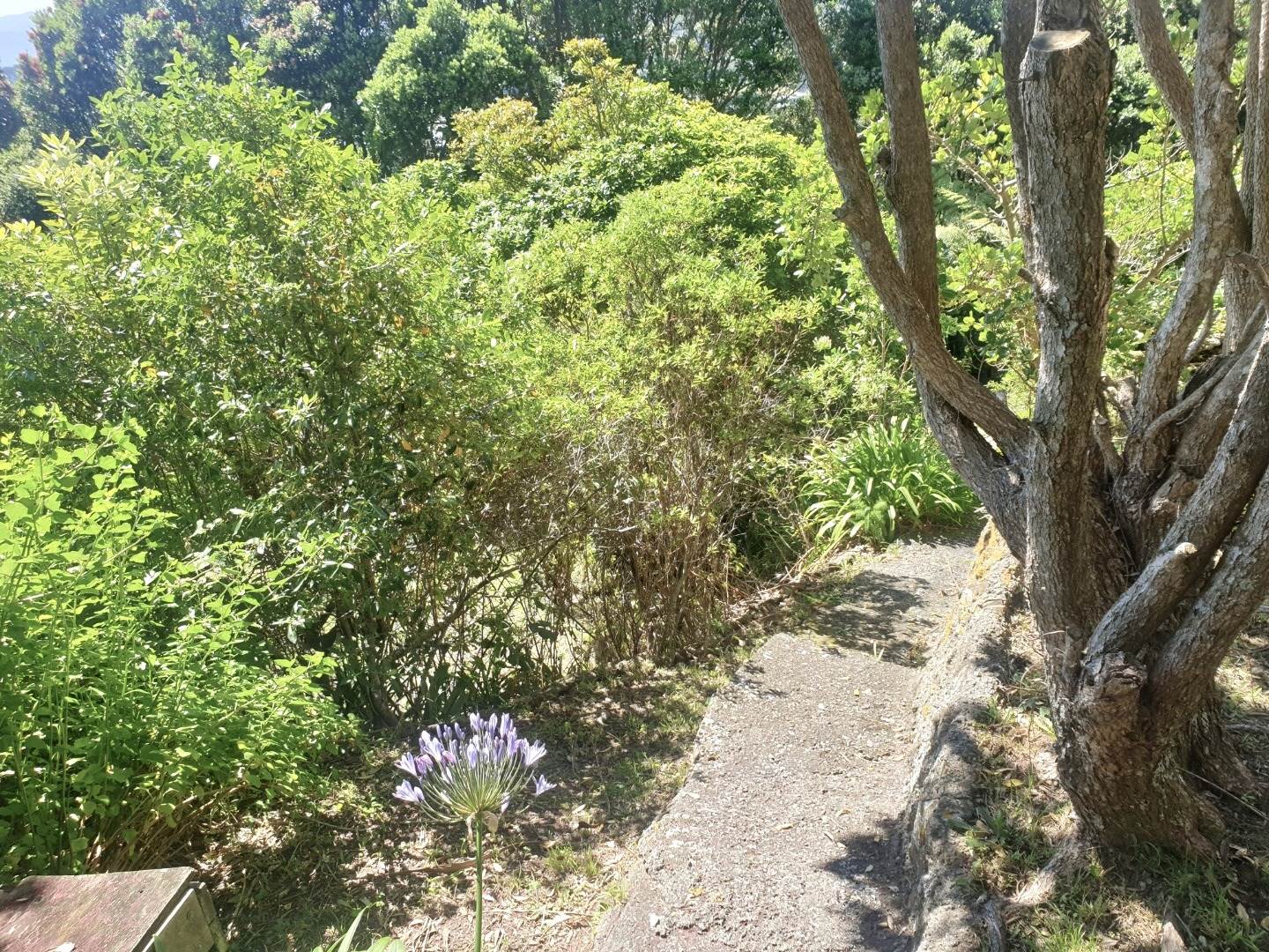 Private Sanctuary, Wellington image 16