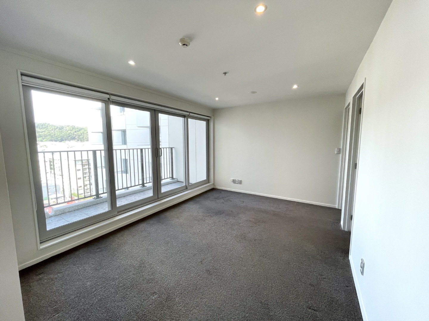 3 Bedroom Apartment - Central as you get, Wellington image 3