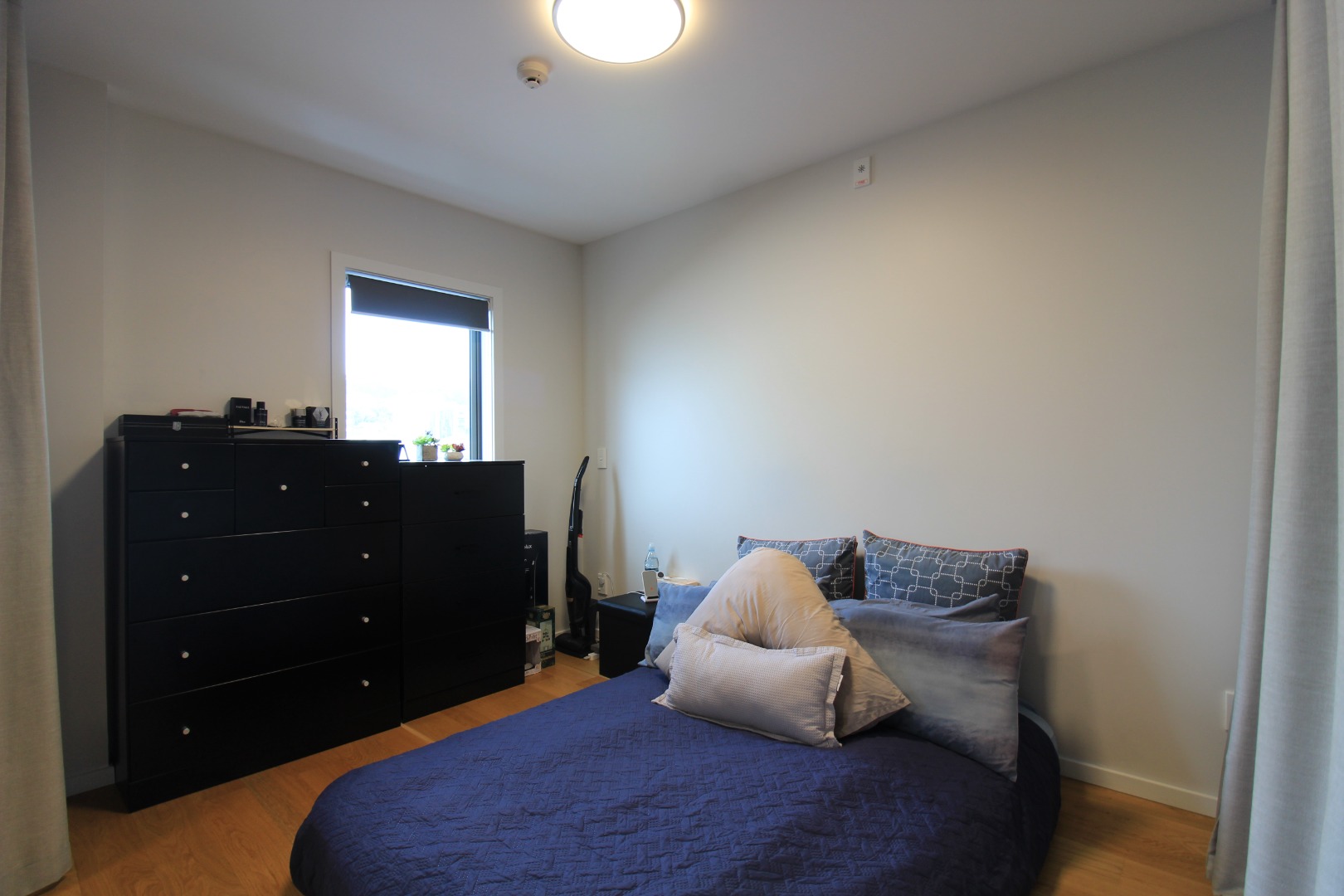 Modern 1 Bedroom Apartment, Wellington image 4