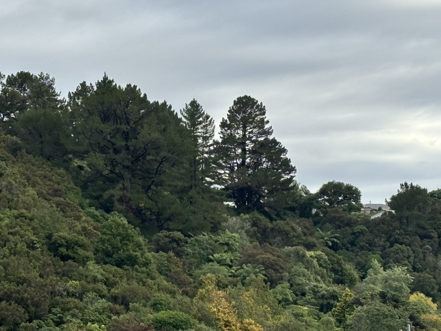 Welcome to Raukawa Heights! Your New Home Awaits, Lower Hutt, Wellington image 4