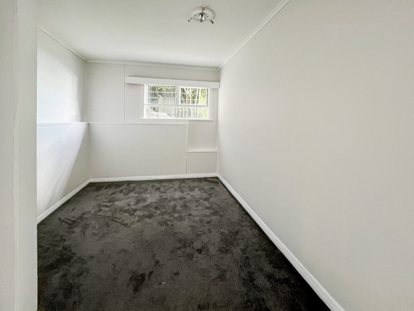1 bedroom basked in sunlight, Lower Hutt, Wellington image 5